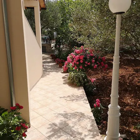 Govic Ante 扎博里克