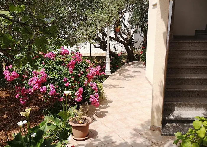 Govic Ante * Zaboric